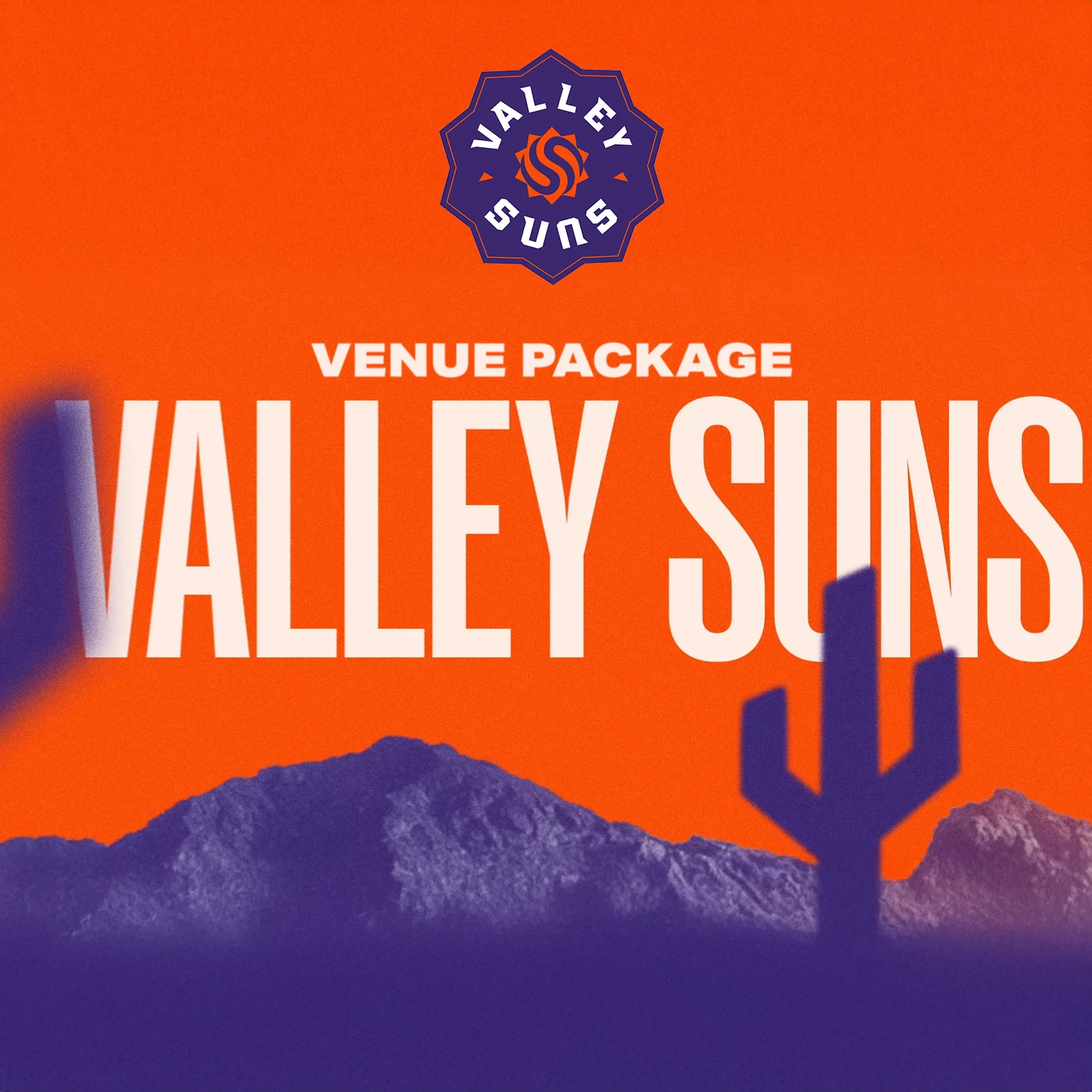 Valley Suns